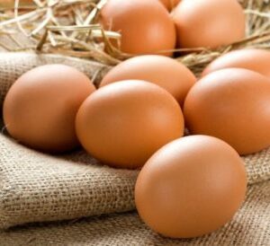 Oeuf Bio présenté sur de la paille
