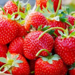 Panier de fraises fraiches