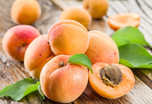 Abricots présentés sur une table en bois - fruits frais