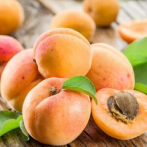 Abricots présentés sur une table en bois - fruits frais